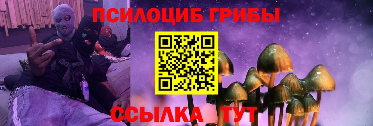 Галлюциногенные грибы мухоморы Избербаш